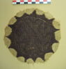 orbiculus, image 2/2
