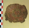orbiculus ; fragment, image 2/2
