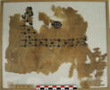 tunique  ; fragment, image 2/2