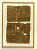 papyrus documentaire, image 3/7