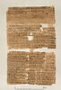 papyrus documentaire, image 2/7