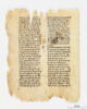 feuillet de codex, image 2/8