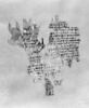 papyrus, image 1/2