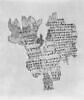 papyrus, image 2/2