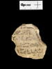 ostracon, image 1/4