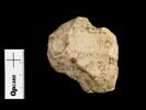 ostracon, image 4/4