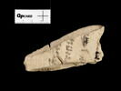 ostracon, image 2/2