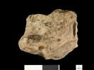 ostracon, image 2/3