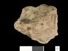 ostracon, image 3/3