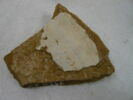 coupe ; fragment, image 2/2