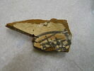 coupe ; fragment, image 2/2
