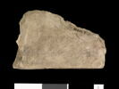 ostracon, image 2/2