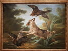Chien barbet faisant lever deux canards dans les roseaux, image 1/2