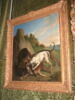 Sanglier arrêté par quatre chiens, image 2/2