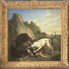 Sanglier arrêté par quatre chiens, image 1/2