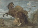 Un Cheval attaqué par des lions, image 1/2
