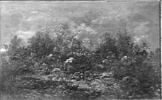 Paysage boisé, dit aussi Forêt de Fontainebleau à l'automne, image 3/3