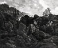Rochers dans la forêt de Fontainebleau, image 17/17