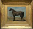 Cheval arabe de profil à gauche, image 1/5