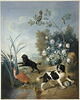Zerbine et Jemite, chiens de Louis XV., image 1/2