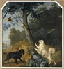 Merluzine et Cocoq, chiennes de Louis XV, image 1/2