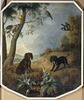 Muscade et Hermine, chiennes de Louis XV, image 1/2