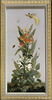 Huit tableaux représentant diverses espèces de lys : Iris florentina (Iris de Florence), Aletris fragrans (Aletris odorant), Amaryllis vitata (Amaryllis rayée), image 1/2