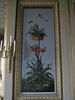 Huit tableaux représentant diverses espèces de lys : Globba nutans (Globbée pendante), Crinum erubescens (Crinum rougeâtre), image 2/2