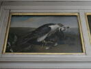 Faucon dévorant un corbeau, image 2/2