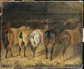 Cinq chevaux vus par la croupe, dans une écurie, image 4/4