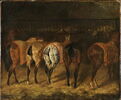 Cinq chevaux vus par la croupe, dans une écurie, image 1/4