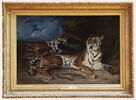 Jeune Tigre jouant avec sa mère, dit aussi Étude de deux tigres, image 2/7