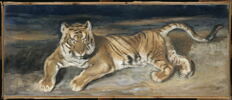 Tigre couché., image 2/3