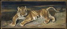 Tigre couché., image 1/3
