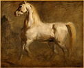 Cheval blanc de profil à gauche. Étude., image 3/3