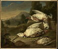 Gibier mort dans un paysage: deux bécasses blanches et deux autres oiseaux, image 1/2