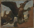 Double étude d'un aigle royal sur un rocher, image 1/2
