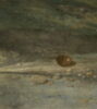 Diogène jetant son écuelle, image 2/13