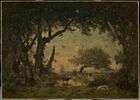 Sortie de forêt à Fontainebleau, soleil couchant, image 1/3
