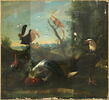Aigle à tête blanche et quatre autres oiseaux dont un becquette une grenade, image 1/2