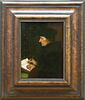 Portrait d'Érasme (1467-1536) écrivant, image 2/7