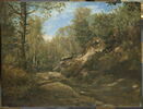 Pins et bouleaux-forêt de Fontainebleau, image 1/4