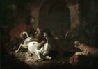 Cheval dévoré par des fauves, image 21/22