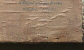 Cheval dévoré par des fauves, image 15/22