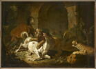 Cheval dévoré par des fauves, image 1/22