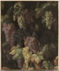 Grappes de raisins autour d'un tronc d'arbre, image 1/3