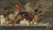 Nature morte aux perroquets, image 19/20