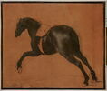 Cheval noir galopant, image 1/7