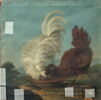 Poules frisées, image 4/4