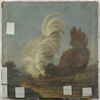 Poules frisées, image 1/4
